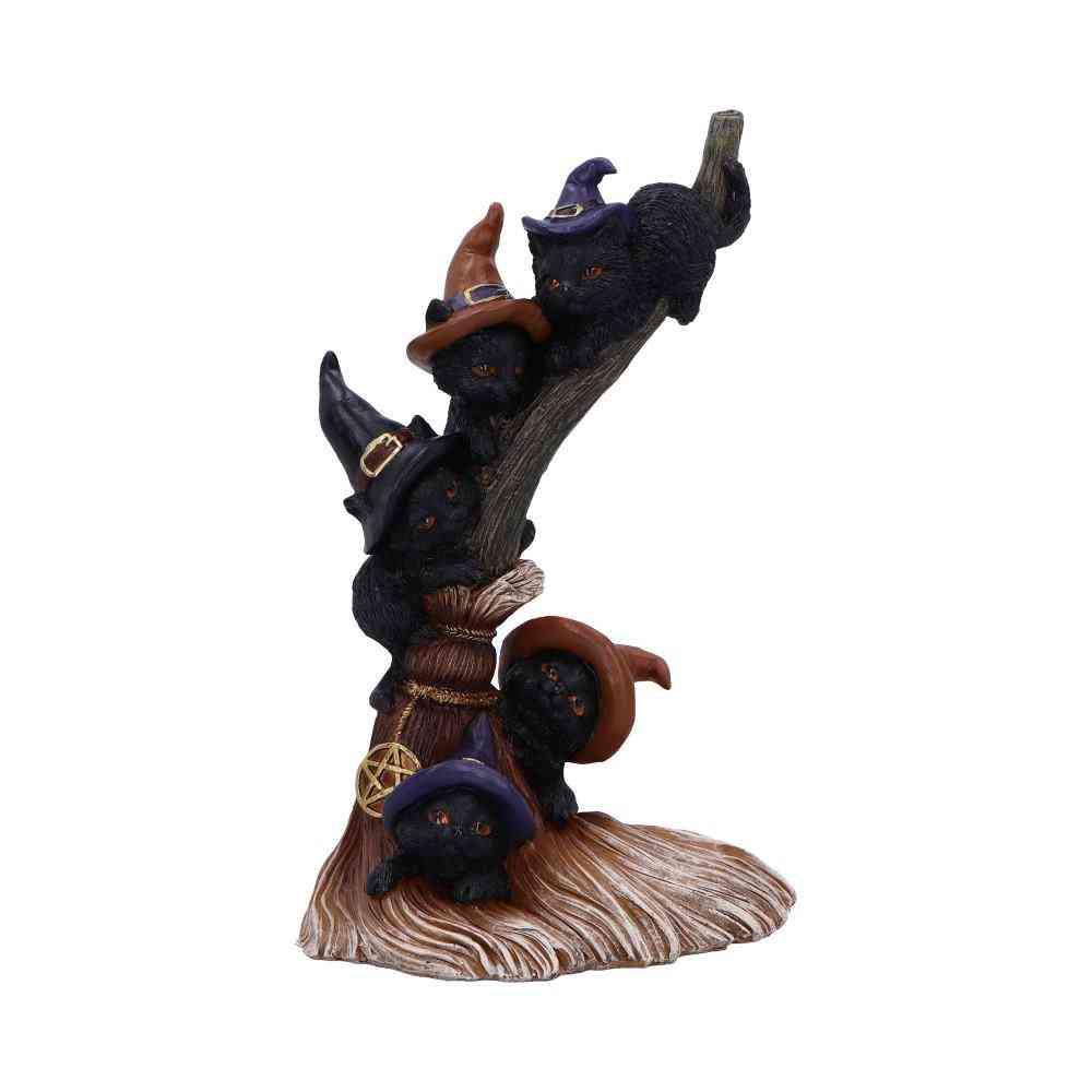 Nemesis Now - Broomstick Kindle 21cm Beeld/figuur - Multicolours